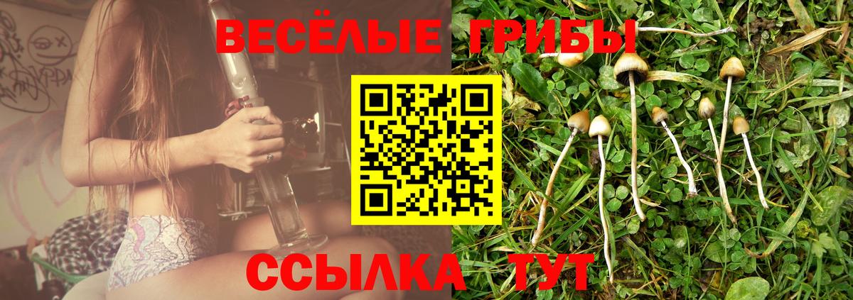 Псилоцибиновые грибы прущие грибы Тимашёвск