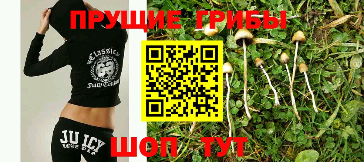 Псилоцибиновые грибы Psilocybine cubensis  Галлюциногенные грибы мухоморы  Тимашёвск  продажа наркотиков  Вход с VPN 